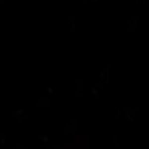 Meet your Posher, Landon